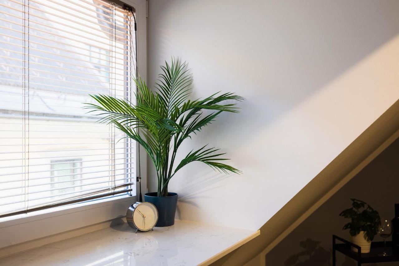 Appartement New *