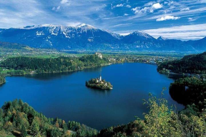 New Ljubljana